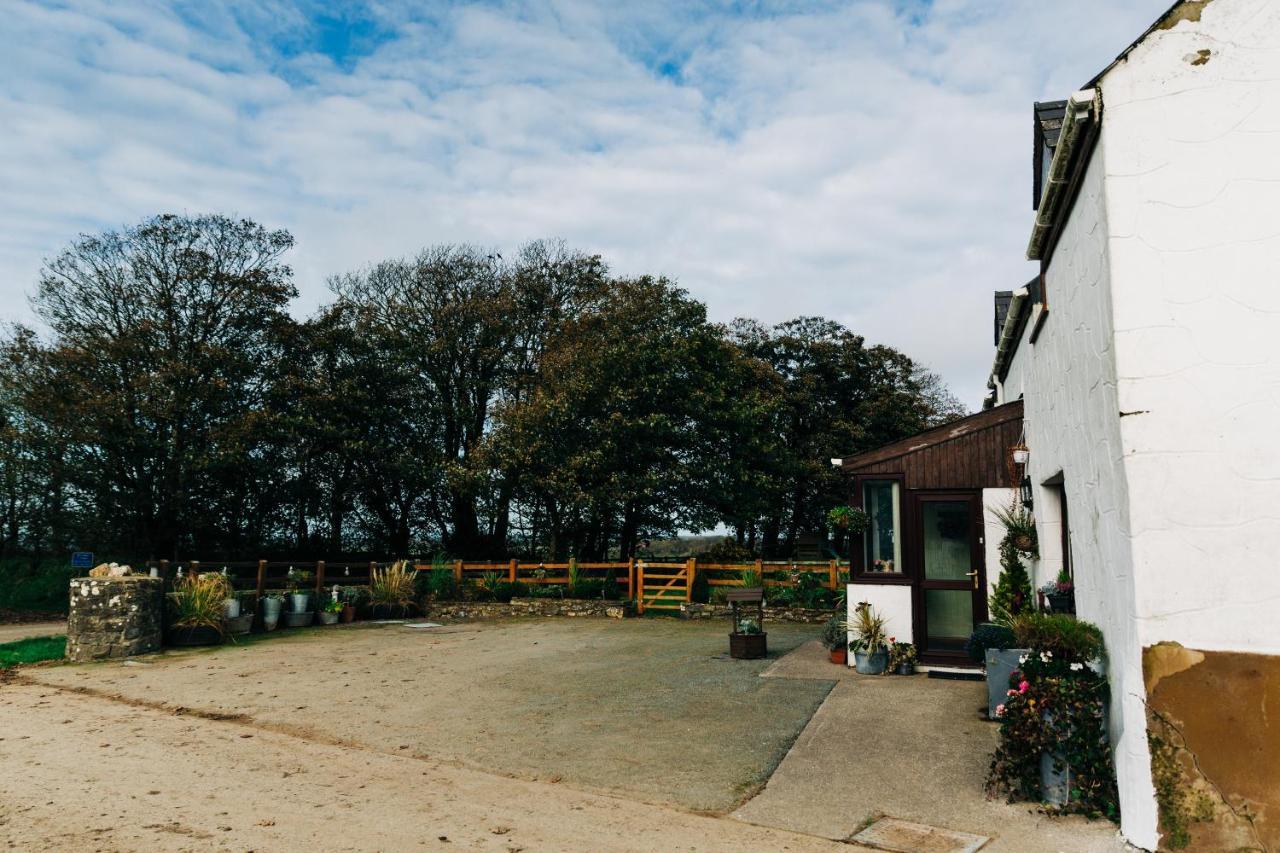 LlandeloyThe Farmhouse Lochmeyler住宿加早餐旅馆 外观 照片